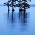 Reelfoot Lake State Park, Tennessee