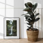 Picture frame mockup by a rubber plant on a wooden floor